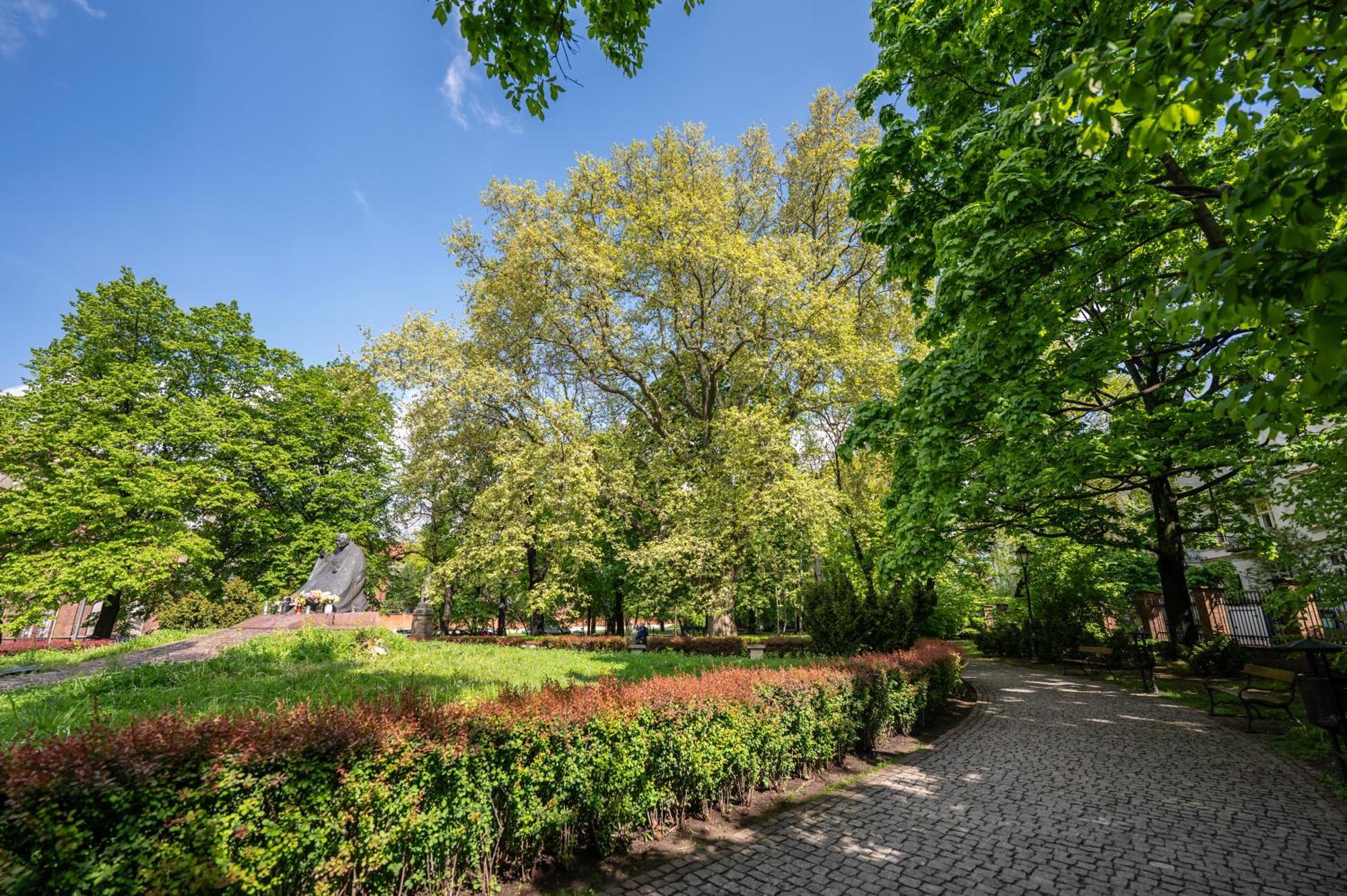 Wenecja Parking Gratis Moxy Te&am Cracow Apartament