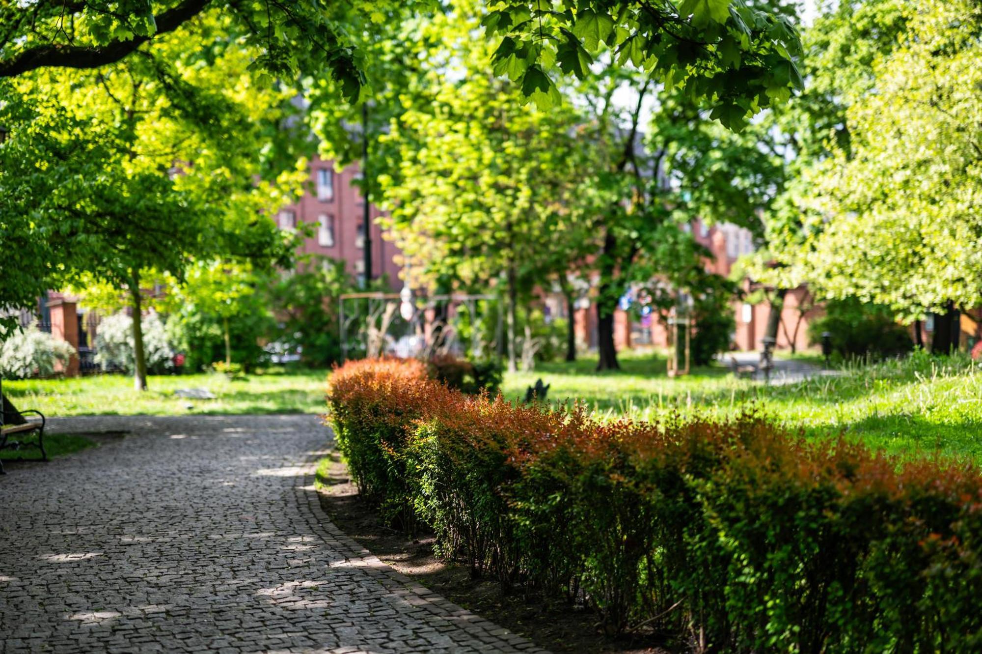 Wenecja Parking Gratis Moxy Te&am Cracow Apartament