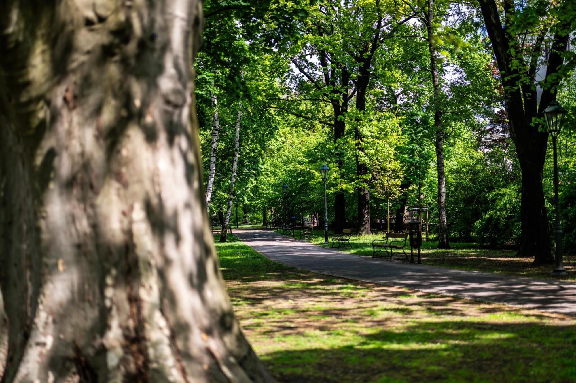 Wenecja Parking Gratis Moxy Te&am Cracow Apartment Krakau